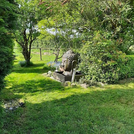 Un Petit Coin De Paradis 2 Clairfontaine Exterior photo
